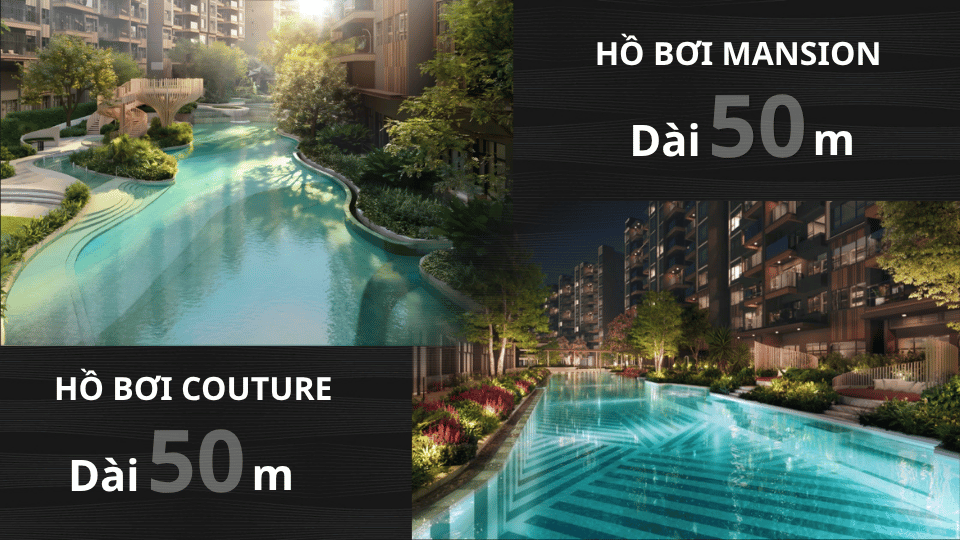 2 hồ bơi dài 50m tại orchard collection
